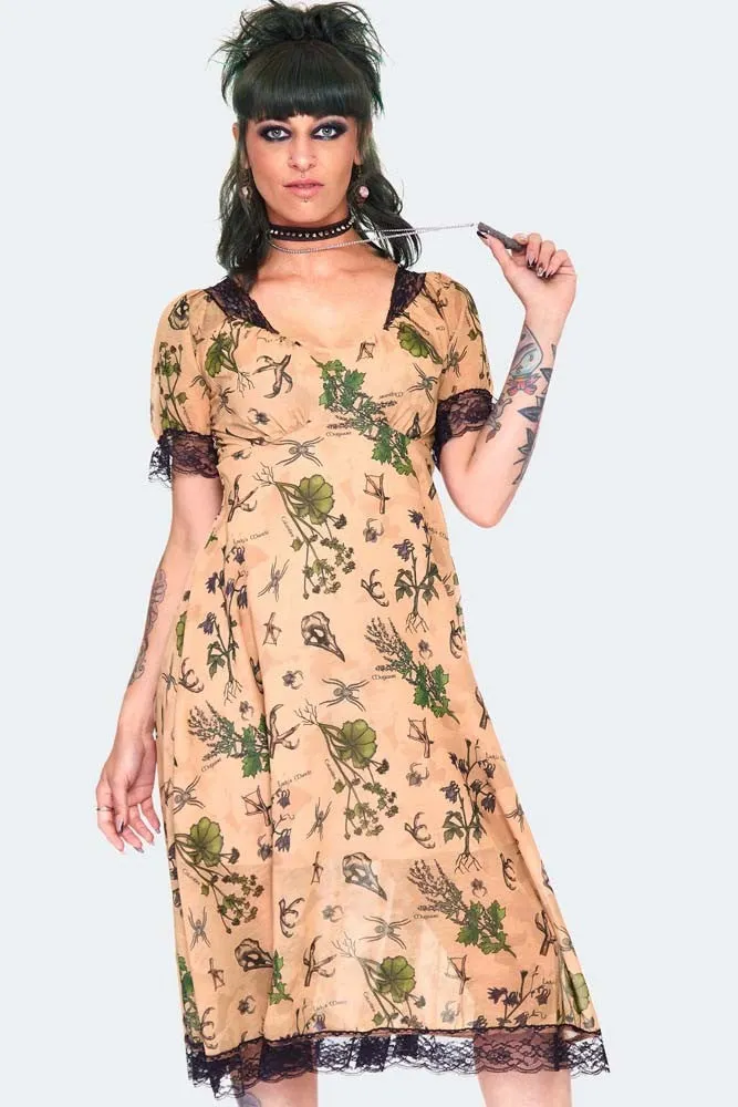 Apothecary Print Midi Dress