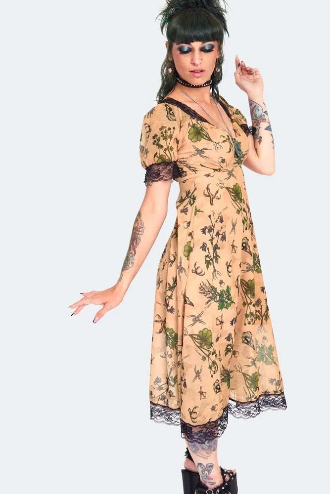 Apothecary Print Midi Dress