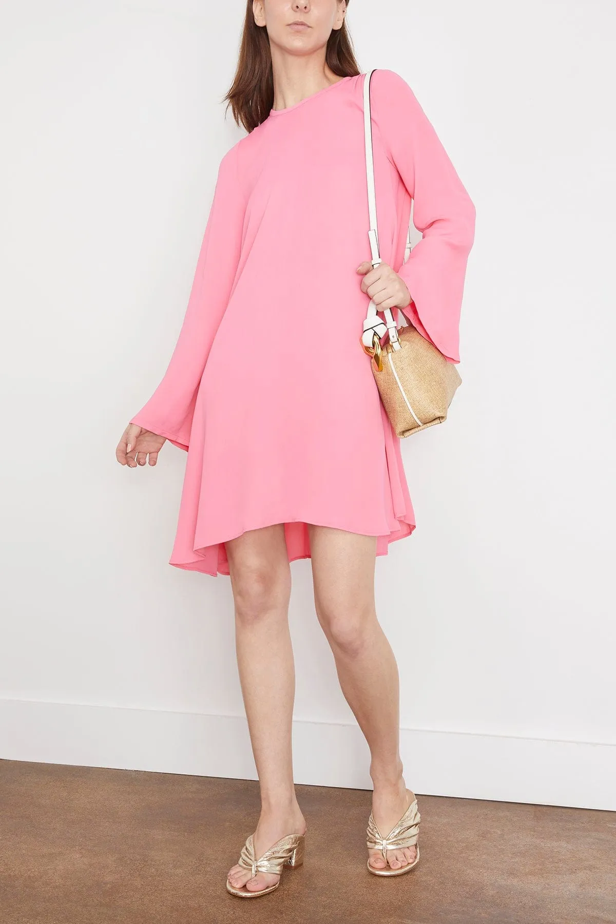 Double Georgette Long Sleeve Dress in Bubble